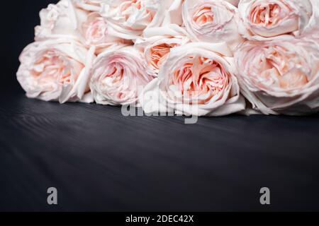 Rose clair délicat roses fond noir en bois gros plan, beau blanc et rouge fleurs bouquet sur bois foncé, carte de vœux d'anniversaire, valentines Banque D'Images