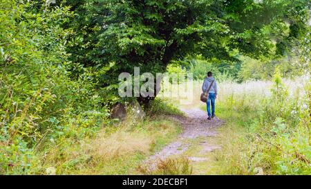 Vue arrière d'un jeune homme en randonnée dans la nature. Touriste avec un sac de marche le long du sentier dans la forêt. Banque D'Images