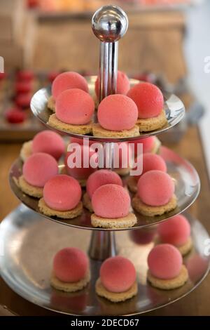 Bouffées. Boules de mousse à saveur de fraise sur une base de biscuit Banque D'Images