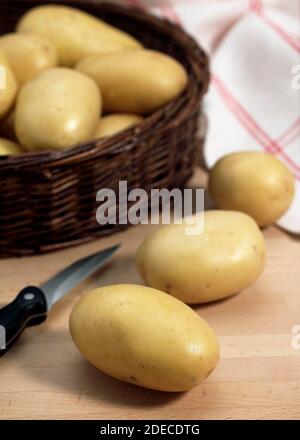 Mona Lisa Pomme de terre, Solanum tuberosum Banque D'Images