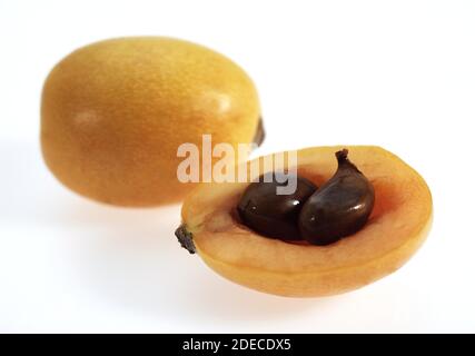 Nèfles, Eriobotrya japonica, fruits contre fond blanc Banque D'Images