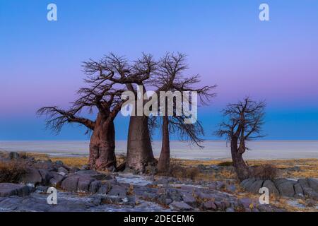 Couleurs du ciel après le coucher du soleil Banque D'Images