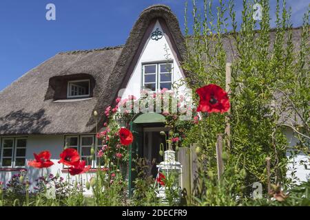 Géographie / Voyage, Allemagne, Schleswig-Holstein, île de Sylt, maison frisonne dans les Westerland, Additional-Rights-Clearance-Info-non-disponible Banque D'Images