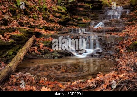 Une petite cascade le long d'une crique au Waterman conservation Education Center, Apalachin, dans l'État de New York, photographiée à une vitesse d'obturation lente à Banque D'Images
