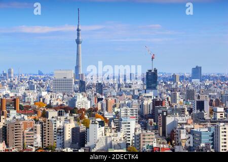 TOKYO, JAPON - 29 NOVEMBRE 2016 : vue aérienne du quartier de Bunkyo à Tokyo. Tokyo est la capitale du Japon. 37.8 millions de personnes vivent dans sa zone métropolitaine. Banque D'Images