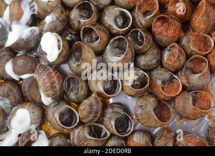 escargots cuits avec sauce tomate et alioli Banque D'Images