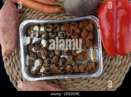 escargots cuits avec sauce tomate et alioli Banque D'Images