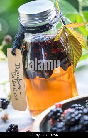 blackberry balsamico, les mûres sont cueillies dans le vinaigre balsamique, Allemagne Banque D'Images