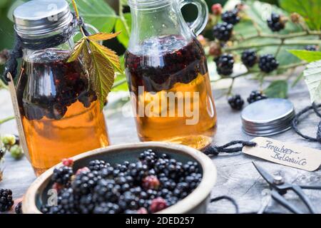 blackberry balsamico, les mûres sont cueillies dans le vinaigre balsamique, Allemagne Banque D'Images