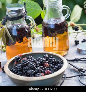 blackberry balsamico, les mûres sont cueillies dans le vinaigre balsamique, Allemagne Banque D'Images