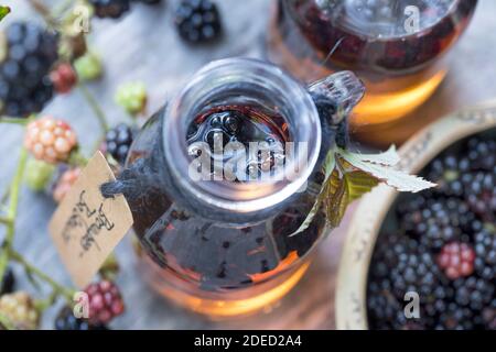 blackberry balsamico, les mûres sont cueillies dans le vinaigre balsamique, Allemagne Banque D'Images