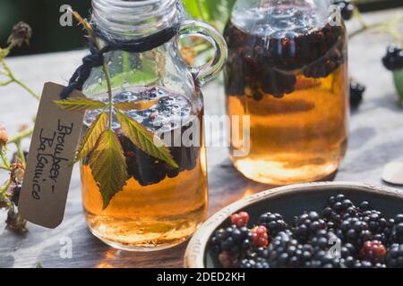 blackberry balsamico, les mûres sont cueillies dans le vinaigre balsamique, Allemagne Banque D'Images