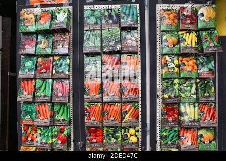 AMSTERDAM, PAYS-BAS - 8 JUILLET 2017 : semences au marché aux fleurs (Bloemenmarkt) à Amsterdam, pays-Bas. Bloemenmarkt est le célèbre marché aux fleurs f Banque D'Images