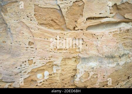 Sable et texture rocheuse sur la plage Banque D'Images