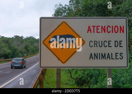 Signalisation routière sur le passage des animaux, sur la N 12, Provincia Misiones, Argentine, Amérique latine Banque D'Images