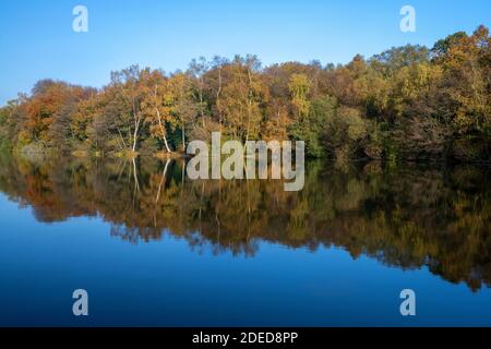 Bassin du moulin de Slaugham, Slaugham, West Sussex, Angleterre, Royaume-Uni. Banque D'Images