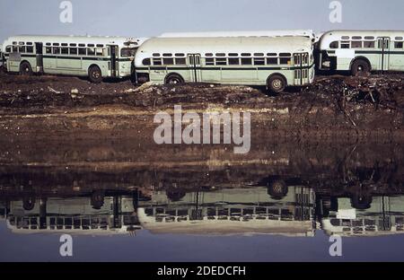 L'érosion de la banque peut entraîner la chute de ces vieux autobus dans les chutes Gwynns; à quelques centaines de mètres seulement de l'entrée des chutes Gwynns dans la CA du port de Baltimore. 1973 Banque D'Images