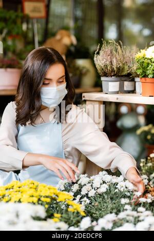 jeune fleuriste dans le masque médical se soucier des chrysanthèmes sur flou premier plan Banque D'Images