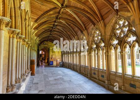 Vue générale des cloîtres de la cathédrale de Lincoln, Lincoln, Lincs., Royaume-Uni. Banque D'Images