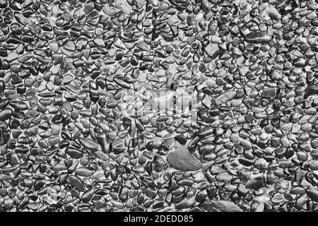 Texture de fond de mur en pierre naturelle gris très ancien Banque D'Images