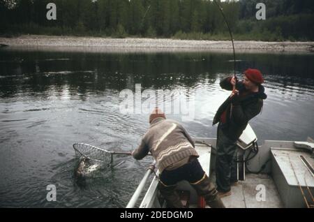 '1970 photo (1973) - sur la rivière Skagit près du béton, le pêcheur joue un 19! livre de truite à tête en acier comme son guide traite le filet' Banque D'Images
