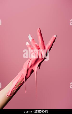 vue rognée de la main avec peinture goutte d'eau isolée sur rose Banque D'Images