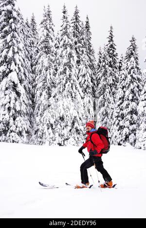 Ski dans les Carpates, Roumanie, Europe Banque D'Images
