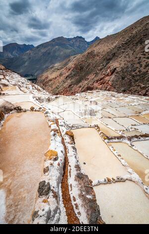 Vue panoramique sur Salineras de Maras, Vallée Sacrée, Pérou Banque D'Images