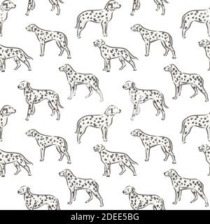 Mignon chien dalmatian race pedigree sans couture motif illustration vectorielle Illustration de Vecteur