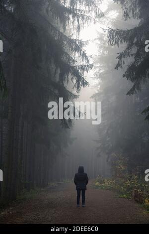 Vue arrière d'une femme en blouson noir debout sur un sentier dans une forêt sombre et sinistre le matin brumeux, région de Bohème centrale, République tchèque Banque D'Images