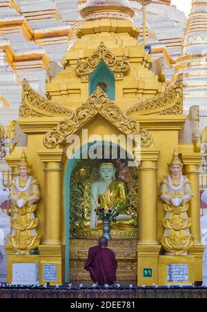 Le moine bouddhiste prier à la pagode Shwedagon, Yangon, Myanmar (Birmanie), l'Asie en février Banque D'Images