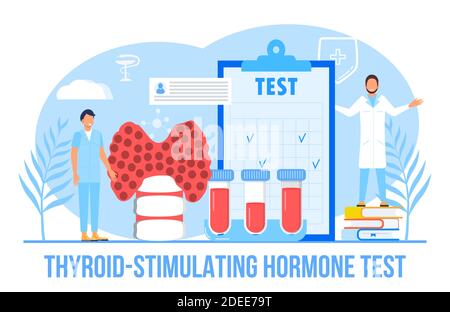 Vecteur de test d'hormone thyréotrope pour le site Web médical. Vecteur de concept d'hypothyroïdie. Les endocrinologues diagnostiquent et traitent la thyroïde humaine Illustration de Vecteur