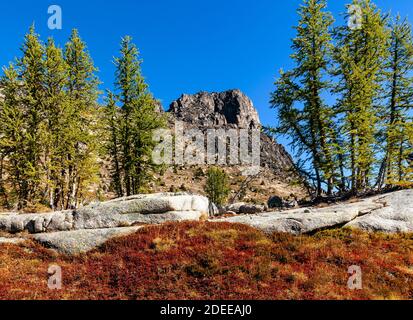 WA17691-00..... WASHINGTON -Larch Trees et Cathedral Peak vus de la région de Upper Cathedral Lake le long de Boundary Trail #533 dans le Pasayten Wilderne Banque D'Images