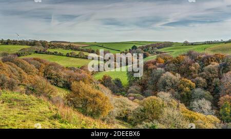 Une belle journée de mi-novembre dans la campagne est de Cornouailles, en Angleterre, une belle vue sur les collines, les bois et les terres agricoles dans la couleur automnale glorieuse. Banque D'Images