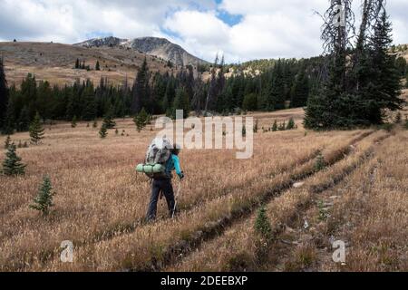 WA17715-00..... WASHINGTON - une femme qui fait marche arrière près de Sheep Mountain le long de BoundaryTrail #533, Pasayten Wilderness, Okanogan Wenatchee National Fores Banque D'Images