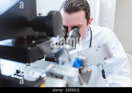 Médecin ou scientifique à la recherche en laboratoire microscope thru Banque D'Images