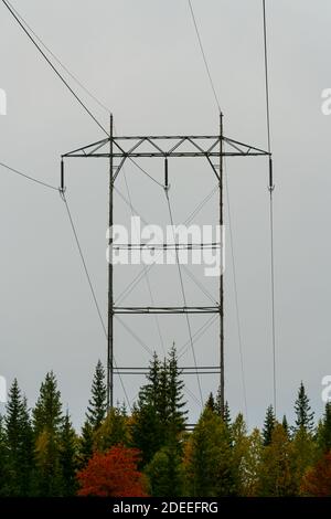 Lignes électriques et pylône traversant la forêt. . Photo de haute qualité Banque D'Images