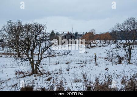 Ontario, Canada, février 2008 - ancienne maison rustique au milieu d'arbres sans feuilles sur un champ ouvert pendant un hiver enneigé Banque D'Images