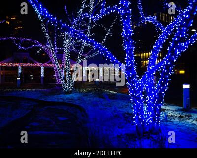 Arbres décorés de lumières bleues et de neige blanche Banque D'Images