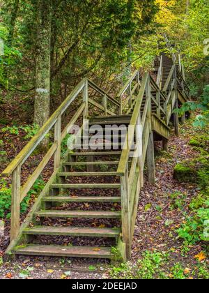 Stairs to point Lookout au-dessus de Sugar Loaf Rock, parc national de Mackinac Island, Mackinac Island, Michigan. Banque D'Images