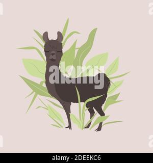 Carte de vœux avec joli lama drôle et verdure. Illustration de Vecteur
