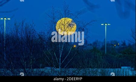 Glasgow, Écosse, Royaume-Uni. 29 novembre, 2020: Météo Royaume-Uni: Pleine lune de givre dans la nécropole druide eerily montre à travers le cimetière construit sur la bosquet druides dans le centre-ville le jour de St andrews. Crédit : Gerard Ferry/Alay Live News Banque D'Images