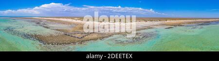 Promenade en bois à la piscine Hamelin utilisée pour la vue à stromatolites, Australie Banque D'Images