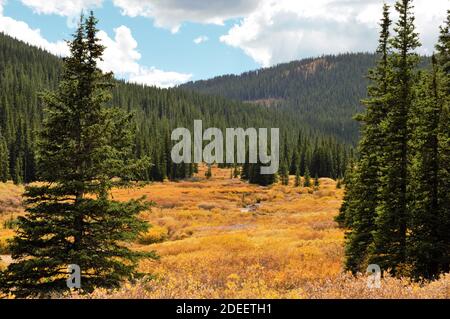 Guanella Pass Road près de Denver Colorado en automne Banque D'Images