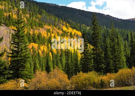 Guanella Pass Road près de Denver Colorado en automne Banque D'Images