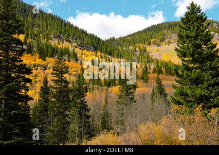 Guanella Pass Road près de Denver Colorado en automne Banque D'Images