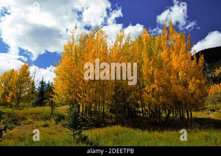 Guanella Pass Road près de Denver Colorado en automne Banque D'Images