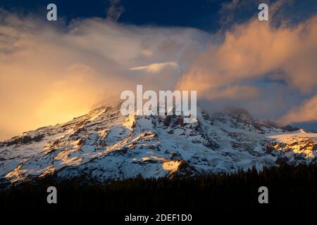 Mt Rainier de inspiration point, parc national du Mont Rainier, Washington Banque D'Images