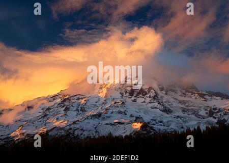 Mt Rainier de inspiration point, parc national du Mont Rainier, Washington Banque D'Images