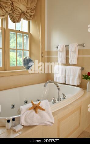 Bain à remous et fleurs Banque D'Images